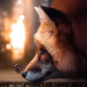 Meet your Posher, Leslie